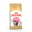 Royal Canin Persian Kitten Корм сухой сбалансированный для персидских котят (до 12 месяцев), 10 кг